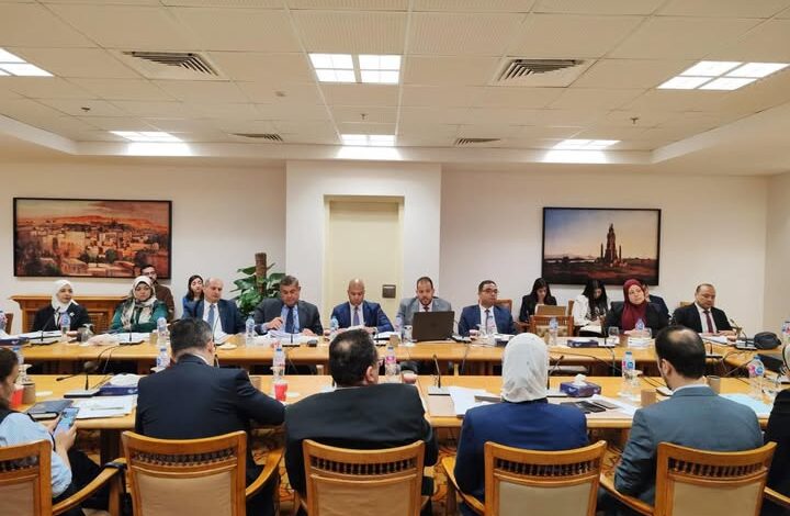 انعقاد اللجنة الدائمة لمتابعة العلاقات المصرية الإفريقية
