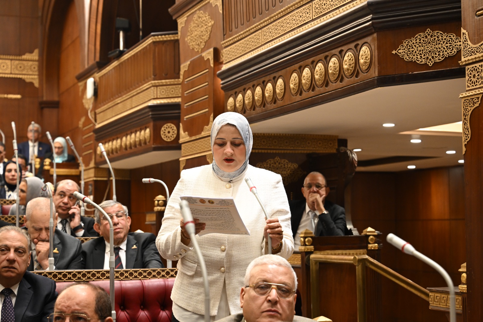 نائبة بالشيوخ: تنظيم استخدام الأطفال للإنترنت ضرورة لحماية النشأ