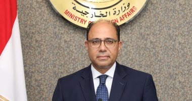سفير مصر لدى بلجيكا: الدولة ملتزمة بالاستحقاقات الدستورية