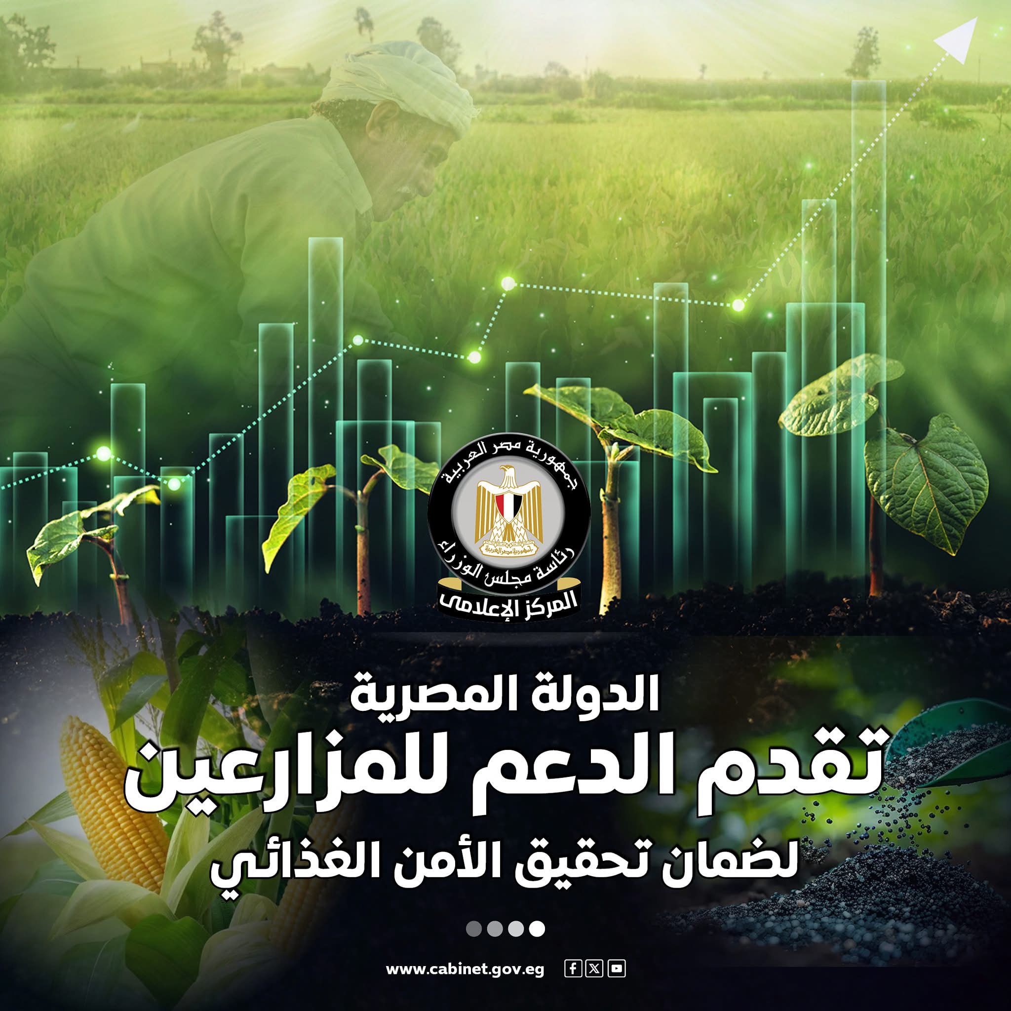المركز الإعلامي لمجلس الوزراء: الدولة المصرية تقدم الدعم للمزارعين لضمان تحقيق الأمن الغذائي