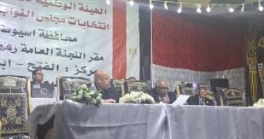 الحصر العددي بدائرة طما وطهطا وجهينة يكشف تقدّم أبو دومة وعويضة والحديوي
