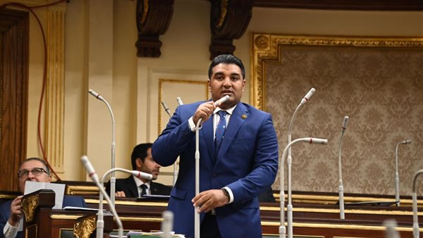 برلماني: العلاقات المصرية السعودية ركيزة أساسية للحفاظ على الأمن القومي العربي