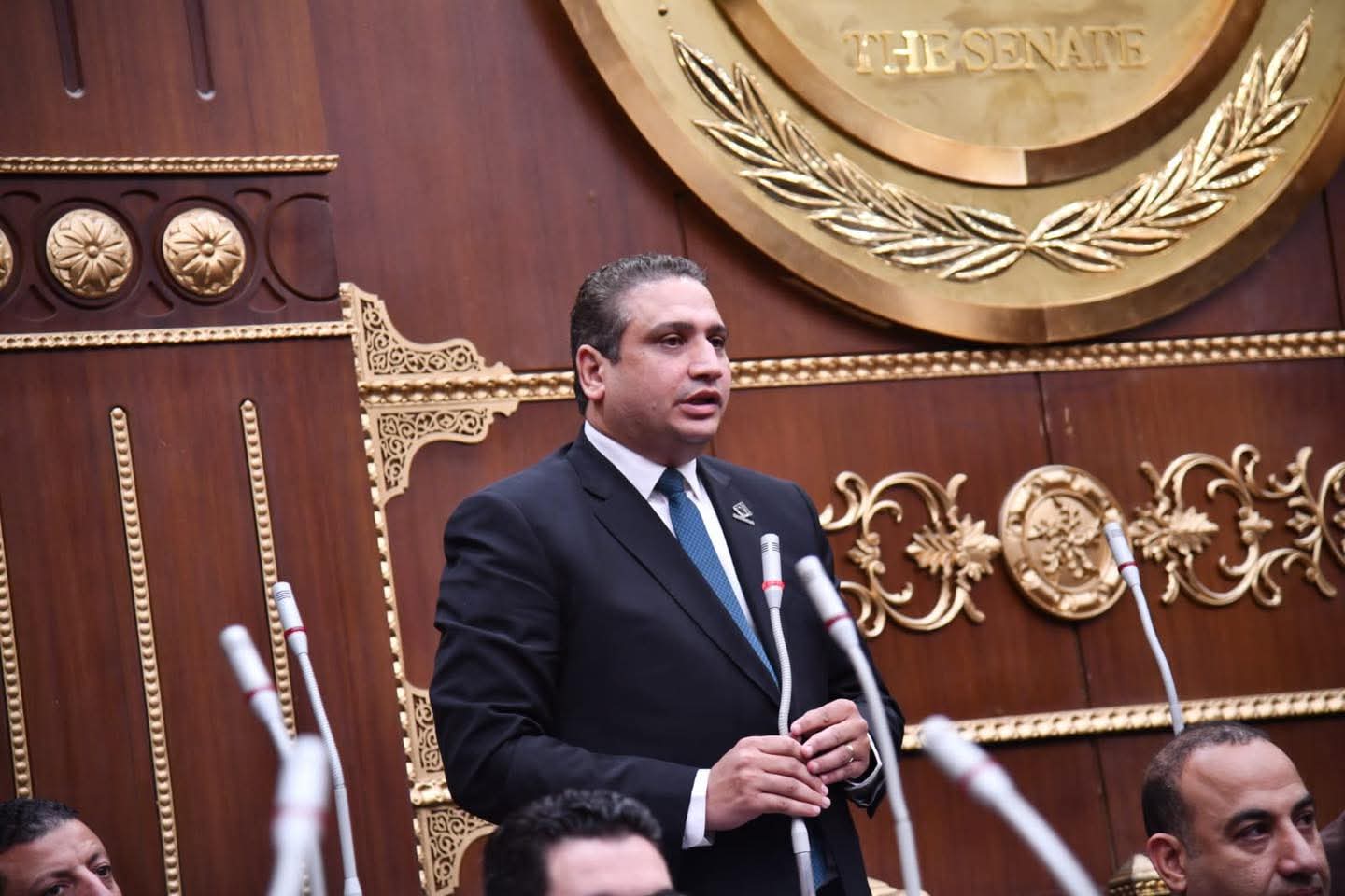 عماد خليل: تعزيز العلاج على نفقة الدولة ضرورة لضمان وصول الخدمة للجميع