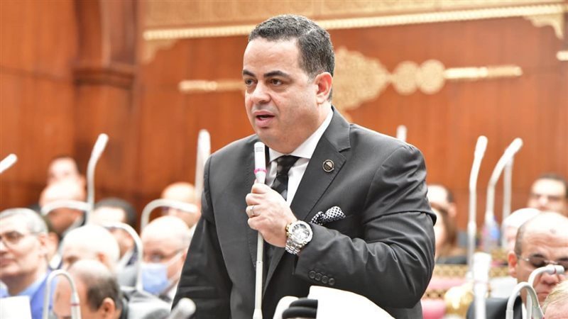 النائب عصام هلال: مجلس الشيوخ "مظلوم إعلاميًا" ودوره أبعد من "الاستشارة"