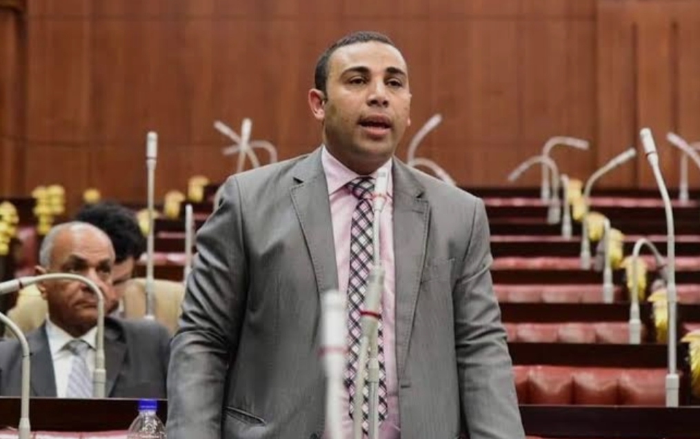فقدان الفاعلية والمصداقية.. بديع يحذر من إخفاقات المجلس القومي لحقوق الإنسان