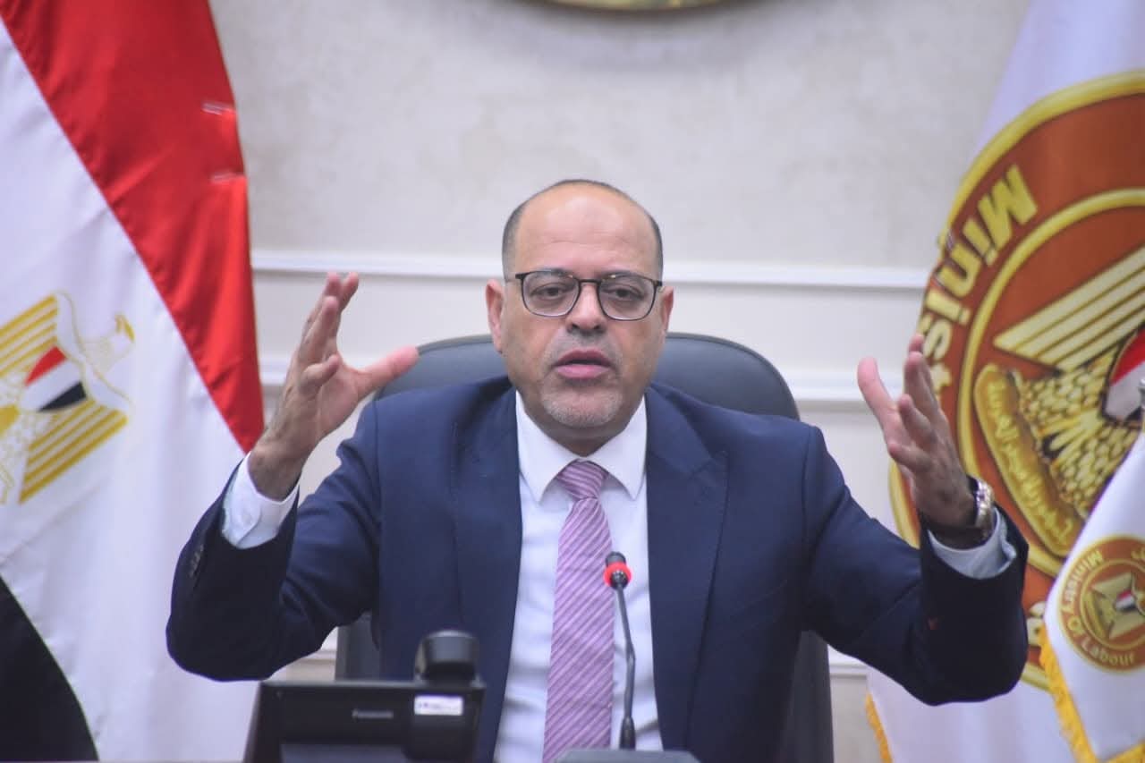 وزير العمل: 14 ألف فرصة و105 ندوة دعماً لتنمية "أرض الفيروز" في عام واحد