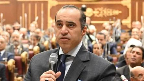 المستشار محمود فوزى يشكر القيادة السياسية