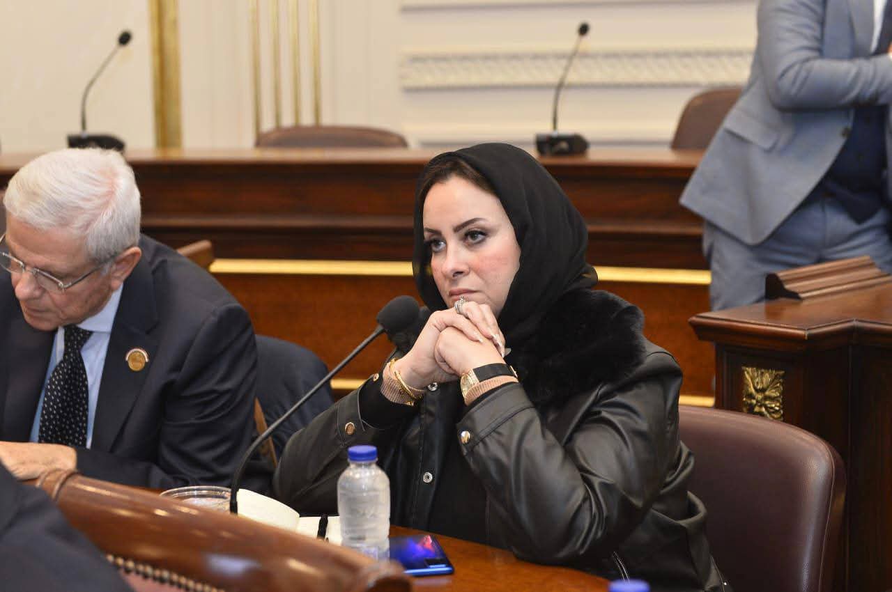 النائبة داليا سعد: الأمن المائي ركيزة أساسية للأمن القومي وتثمن استراتيجية وزارة الري لتعزيز التعاون مع دول حوض النيل